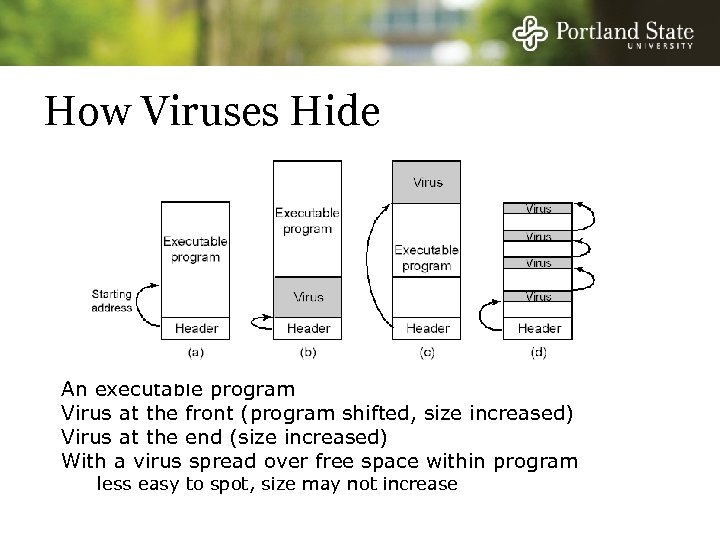 How Viruses Hide An executable program Virus at the front (program shifted, size increased)