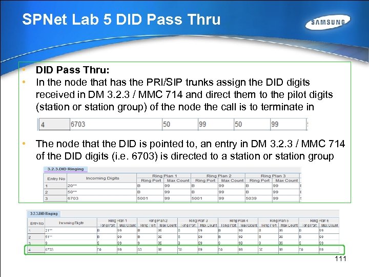 SPNet Lab 5 DID Pass Thru • DID Pass Thru: • In the node