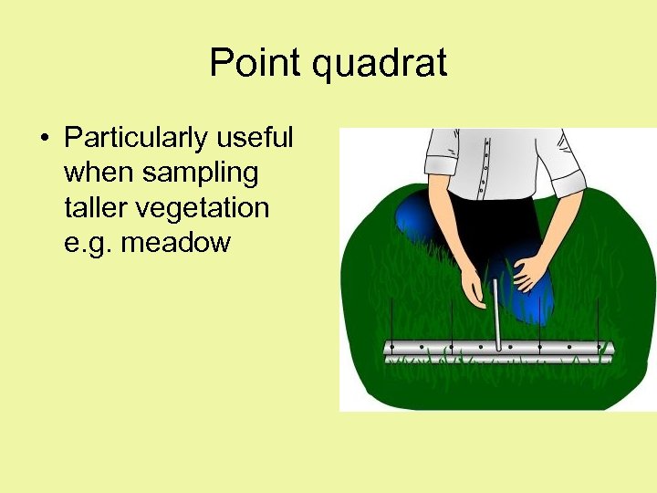 Point quadrat • Particularly useful when sampling taller vegetation e. g. meadow 