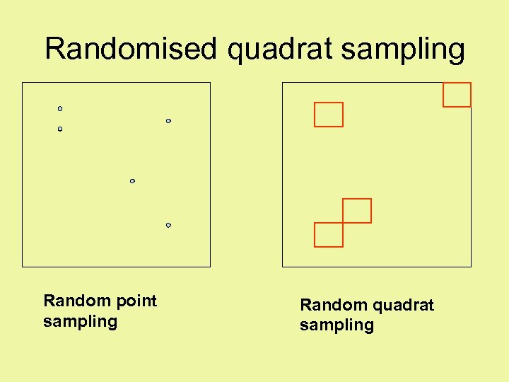 Randomised quadrat sampling Random point sampling Random quadrat sampling 