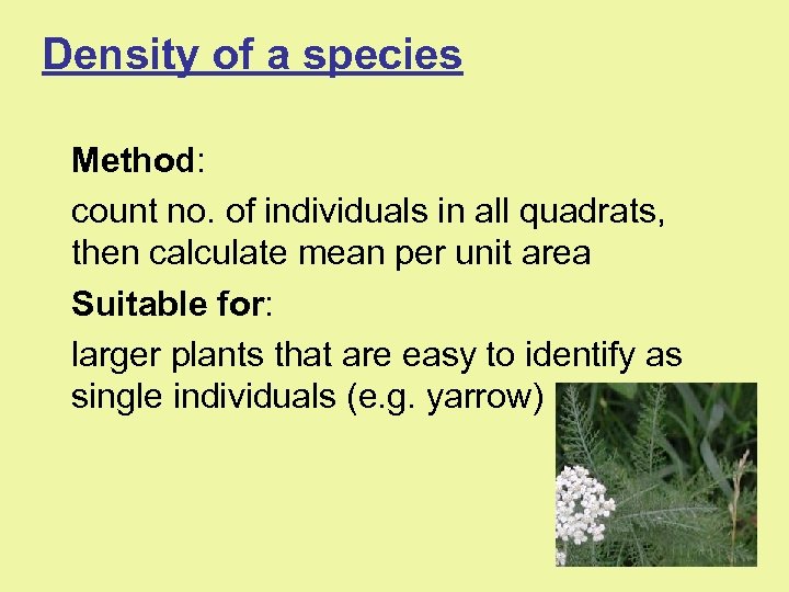 Density of a species Method: count no. of individuals in all quadrats, then calculate