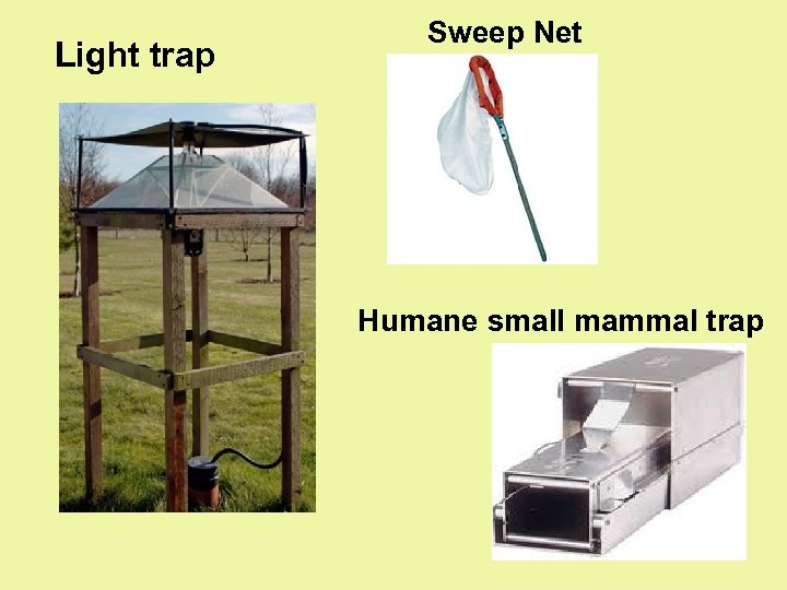 Light trap Sweep Net Humane small mammal trap 