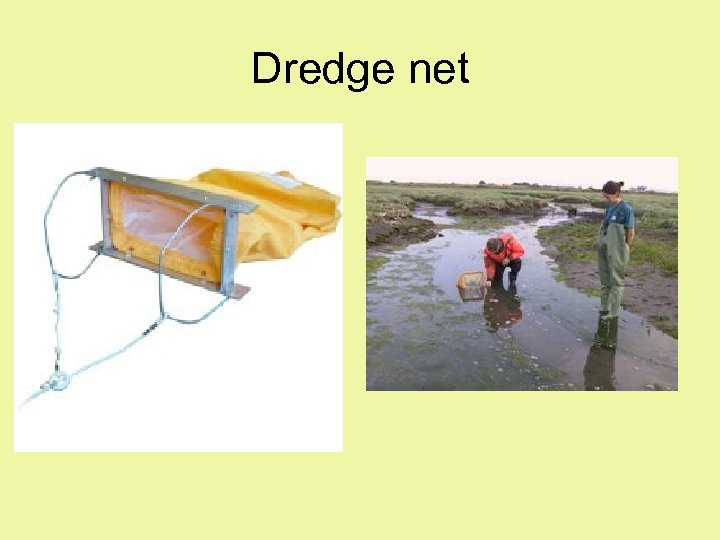 Dredge net 