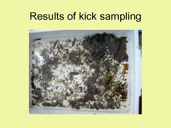 Results of kick sampling 