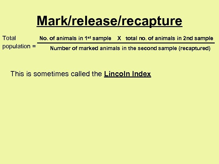 Mark/release/recapture Total No. of animals in 1 st sample X total no. of animals