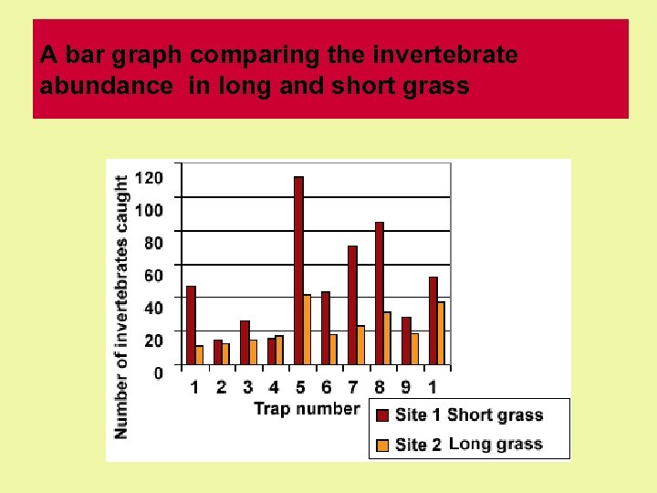 A bar graph comparing the invertebrate abundance in long and short grass 