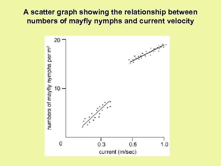 A scatter graph showing the relationship between numbers of mayfly nymphs and current velocity