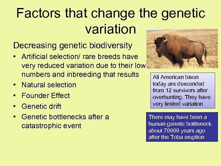 Factors that change the genetic variation Decreasing genetic biodiversity • Artificial selection/ rare breeds