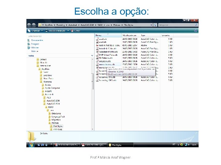 Escolha a opção: Prof. ª Márcia Anaf Wagner 