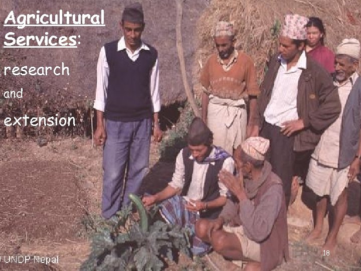 Agricultural Services: research and extension 18 