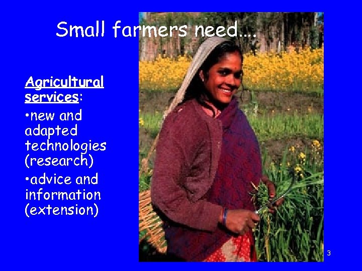 Small farmers need…. Agricultural services: • new and adapted technologies (research) • advice and