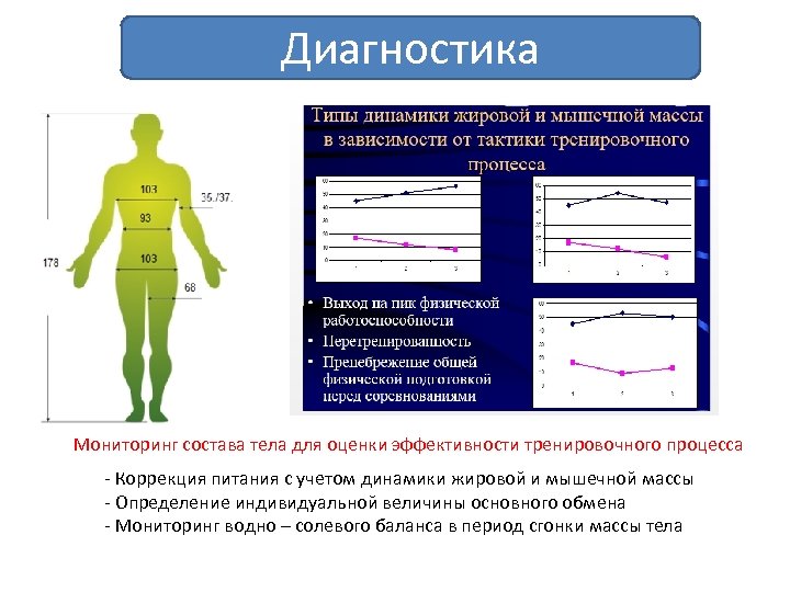 Диагностика Мониторинг состава тела для оценки эффективности тренировочного процесса - Коррекция питания с учетом