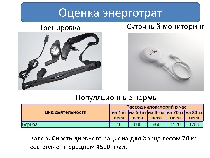 Оценка энерготрат Тренировка Суточный мониторинг Популяционные нормы Калорийность дневного рациона для борца весом 70