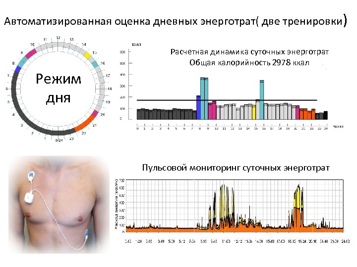 Автоматизированная оценка дневных энерготрат( две тренировки) Расчетная динамика суточных энерготрат Общая калорийность 2978 ккал