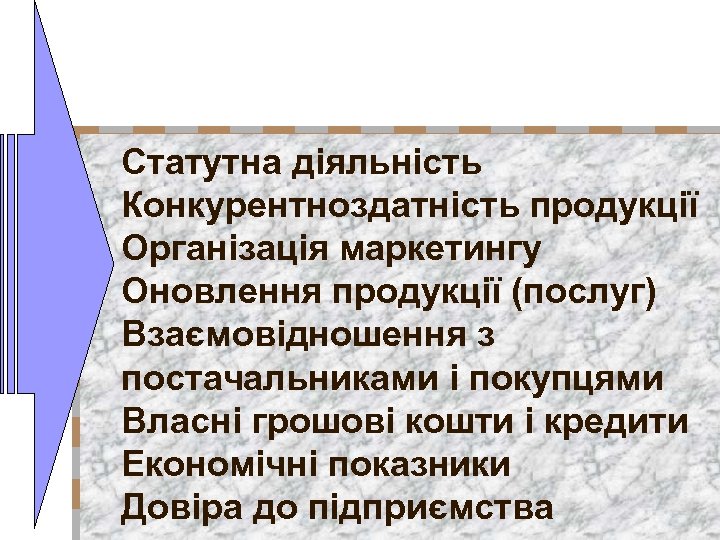 Статутна діяльність Конкурентноздатність продукції Організація маркетингу Оновлення продукції (послуг) Взаємовідношення з постачальниками і покупцями