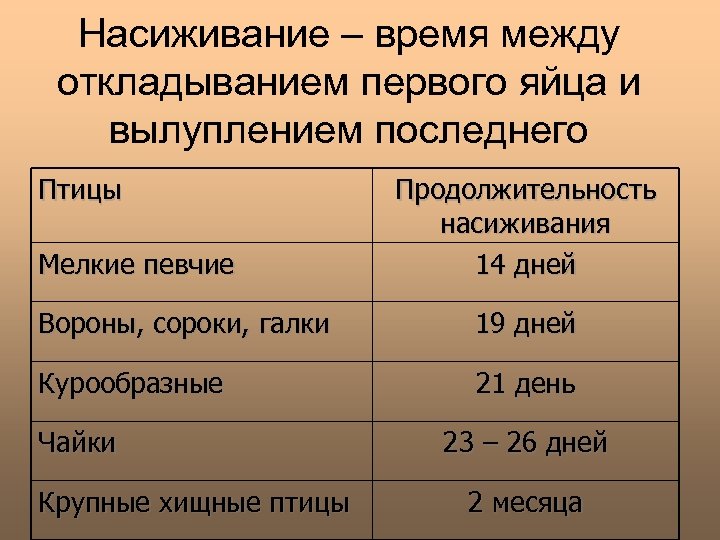 Насиживание – время между откладыванием первого яйца и вылуплением последнего Птицы Мелкие певчие Продолжительность