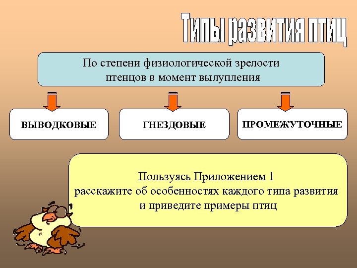 По степени физиологической зрелости птенцов в момент вылупления ВЫВОДКОВЫЕ ГНЕЗДОВЫЕ ПРОМЕЖУТОЧНЫЕ Пользуясь Приложением 1