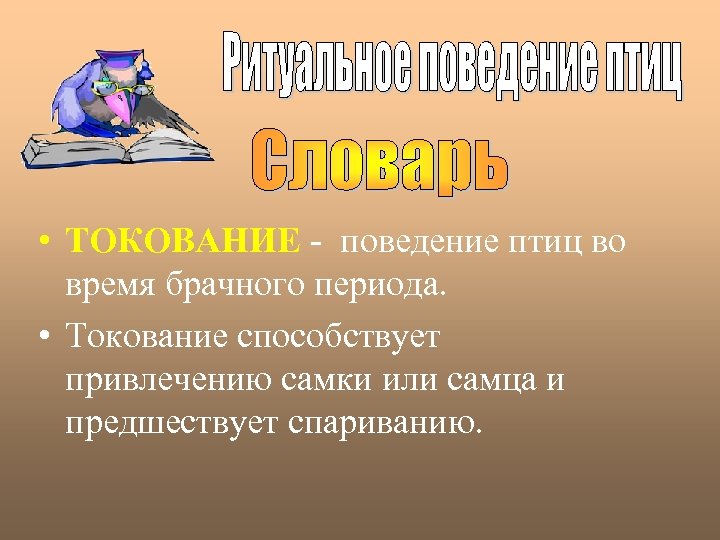  • ТОКОВАНИЕ - поведение птиц во время брачного периода. • Токование способствует привлечению