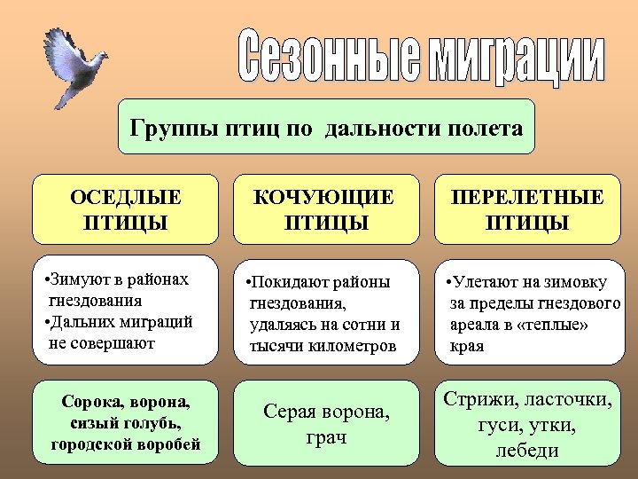 Группы птиц по дальности полета ОСЕДЛЫЕ ПТИЦЫ • Зимуют в районах гнездования • Дальних