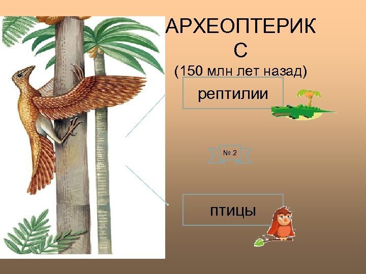 АРХЕОПТЕРИК С (150 млн лет назад) рептилии № 2 птицы 