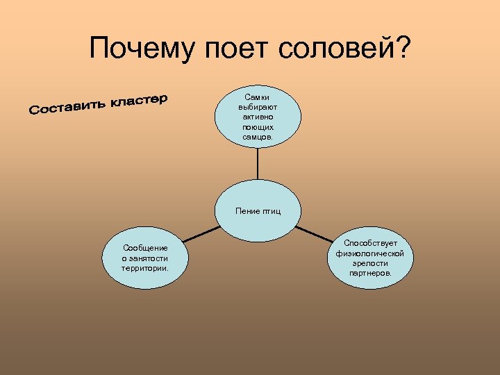 Почему поет соловей? Самки выбирают активно поющих самцов. Пение птиц Сообщение о занятости территории.