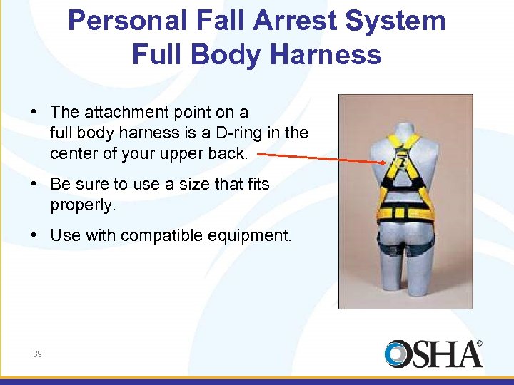 Personal Fall Arrest System Full Body Harness • The attachment point on a full