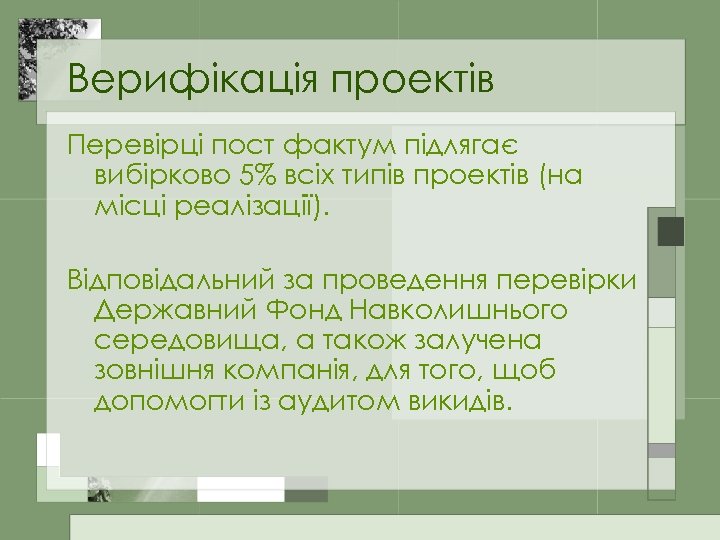 Верифікація проектів Перевірці пост фактум підлягає вибірково 5% всіх типів проектів (на місці реалізації).