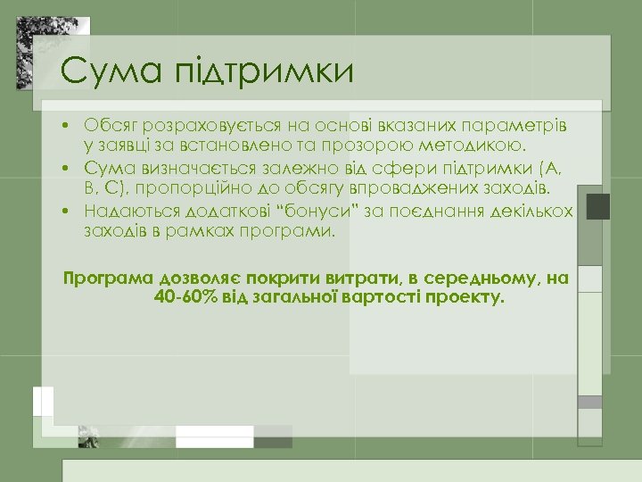 Сума підтримки • Обсяг розраховується на основі вказаних параметрів у заявці за встановлено та