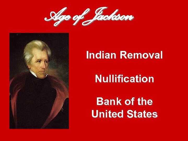 Age of Jackson Indian Removal Nullification Bank of the United States 