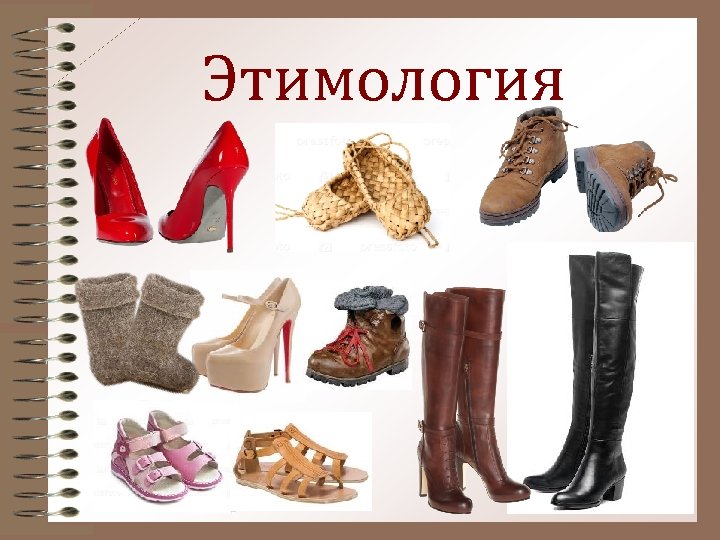 Этимология 