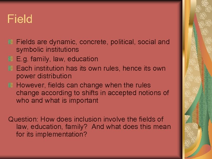 Fields are dynamic, concrete, political, social and symbolic institutions E. g. family, law, education
