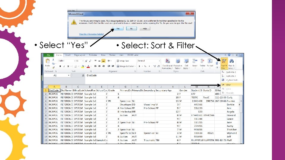  • Select “Yes” • Select: Sort & Filter 