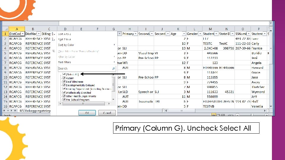 Primary (Column G). Uncheck Select All 