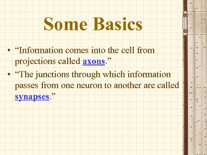 Some Basics • “Information comes into the cell from projections called axons. ” •