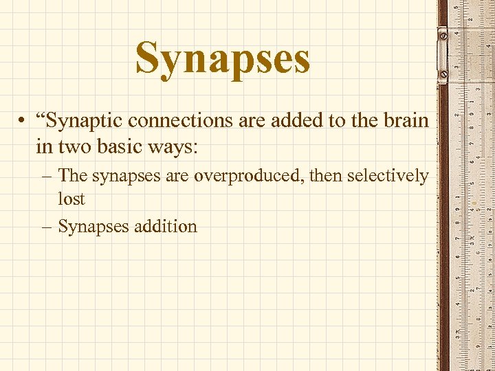 Synapses • “Synaptic connections are added to the brain in two basic ways: –