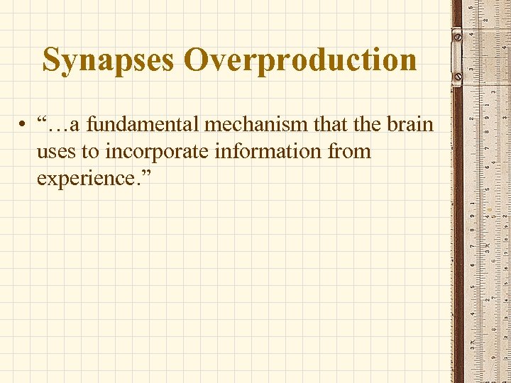 Synapses Overproduction • “…a fundamental mechanism that the brain uses to incorporate information from