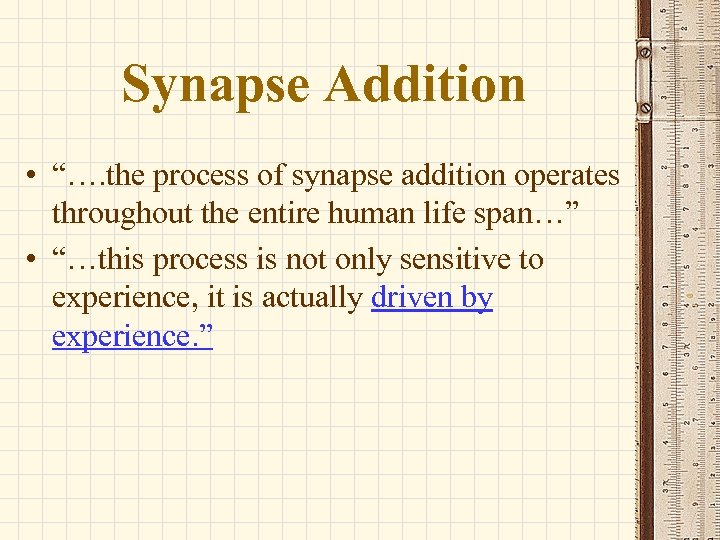 Synapse Addition • “…. the process of synapse addition operates throughout the entire human