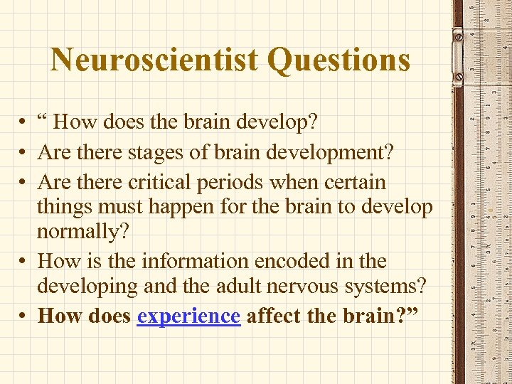 Neuroscientist Questions • “ How does the brain develop? • Are there stages of