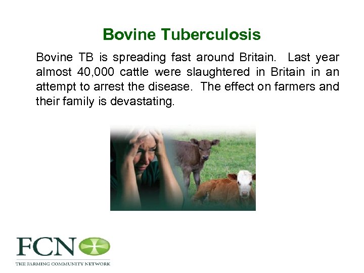 Bovine Tuberculosis Bovine TB is spreading fast around Britain. Last year almost 40, 000
