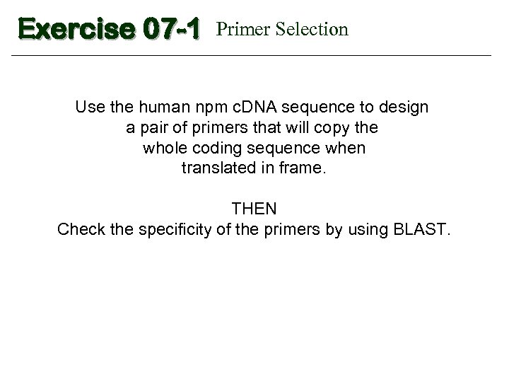 Exercise 07 -1 Primer Selection Use the human npm c. DNA sequence to design