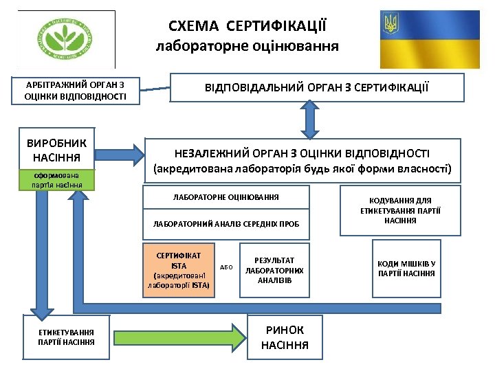 СХЕМА СЕРТИФІКАЦІЇ лабораторне оцінювання АРБІТРАЖНИЙ ОРГАН З ОЦІНКИ ВІДПОВІДНОСТІ ВИРОБНИК НАСІННЯ сформована партія насіння