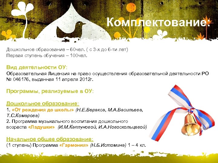  Комплектование: Дошкольное образование – 60 чел. ( с 3 -х до 6 -ти