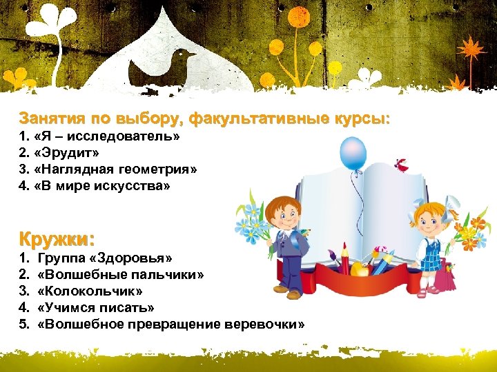 Занятия по выбору, факультативные курсы: 1. «Я – исследователь» 2. «Эрудит» 3. «Наглядная геометрия»