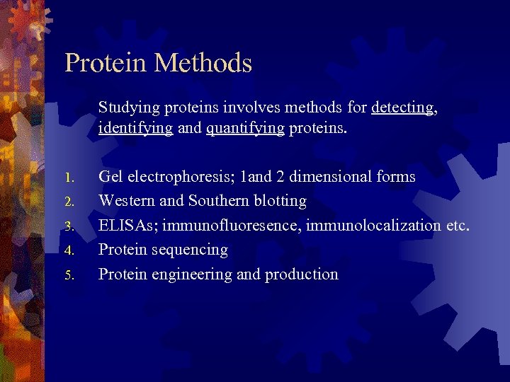 Protein Methods Studying proteins involves methods for detecting, identifying and quantifying proteins. 1. 2.