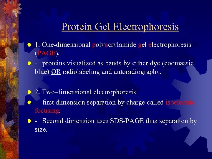  Protein Gel Electrophoresis 1. One-dimensional polyacrylamide gel electrophoresis (PAGE). ® - proteins visualized