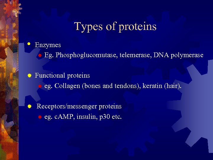 Types of proteins • Enzymes ® Eg. Phosphoglucomutase, telemerase, DNA polymerase ® Functional proteins