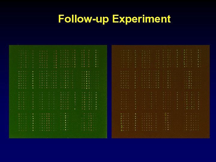 Follow-up Experiment 