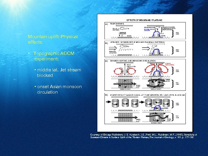 Mountain uplift: Physical effects: • Topographic AGCM experiment: • middle lat. Jet stream blocked