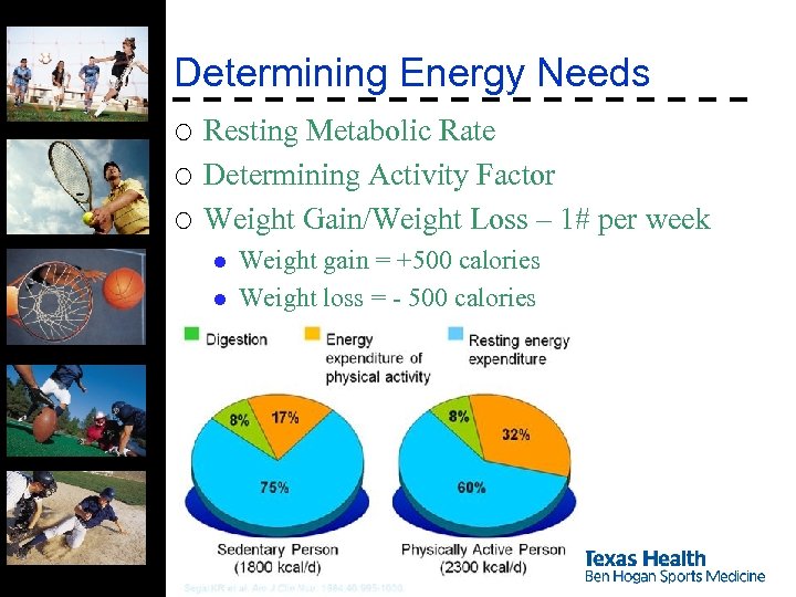 Determining Energy Needs ¡ ¡ ¡ Resting Metabolic Rate Determining Activity Factor Weight Gain/Weight