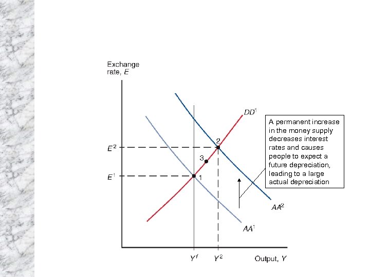 A permanent increase in the money supply decreases interest rates and causes people to